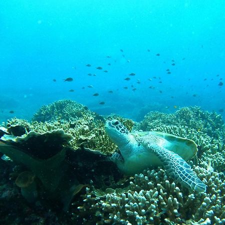 4 Sisters Divers Bunaken Buitenkant foto
