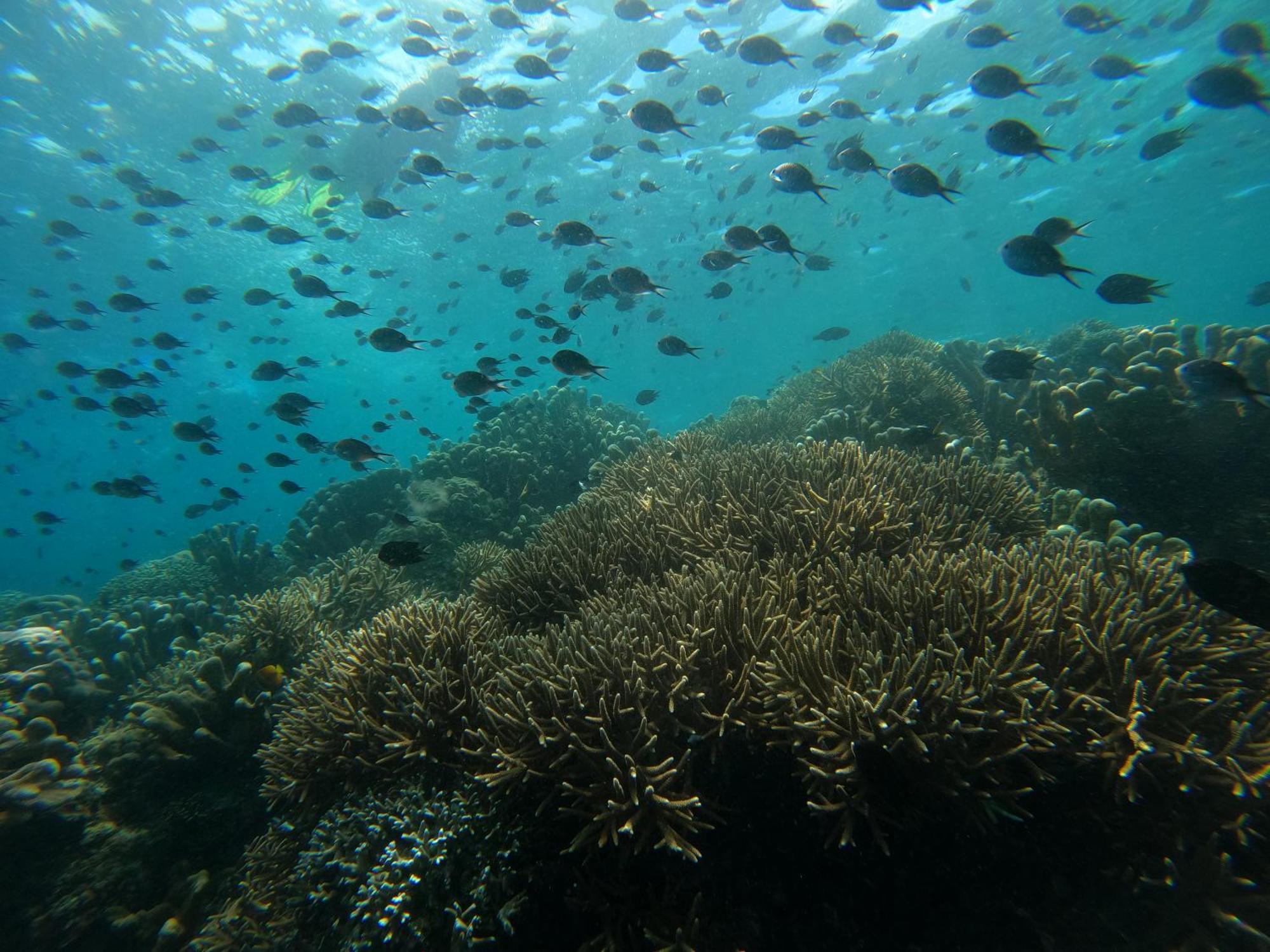 4 Sisters Divers Bunaken Buitenkant foto