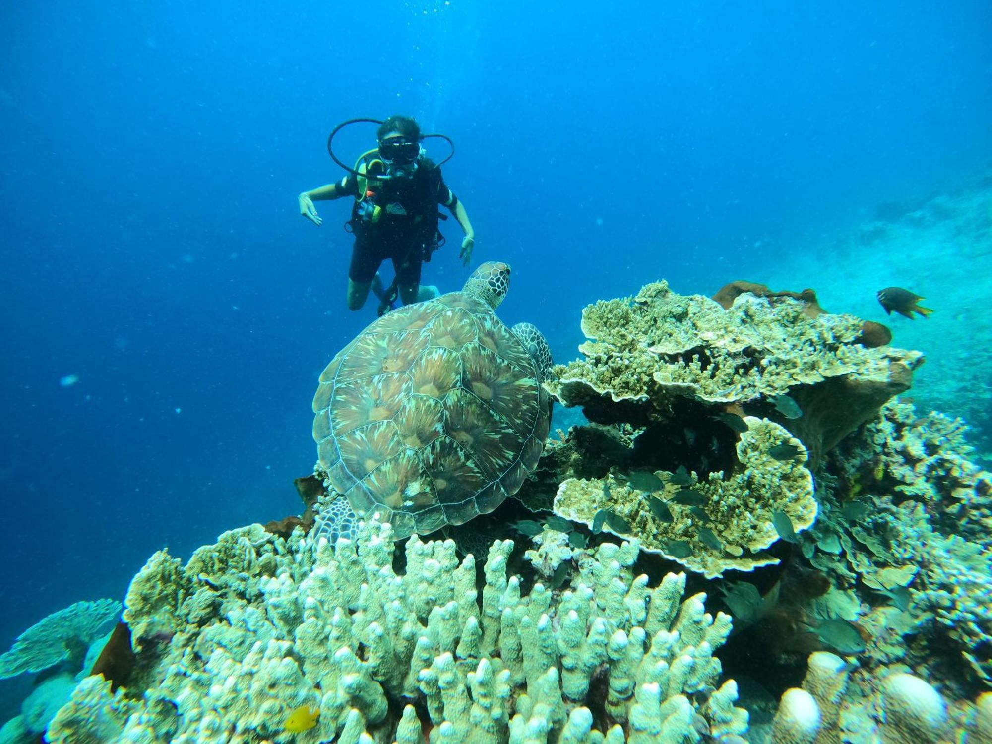 4 Sisters Divers Bunaken Buitenkant foto