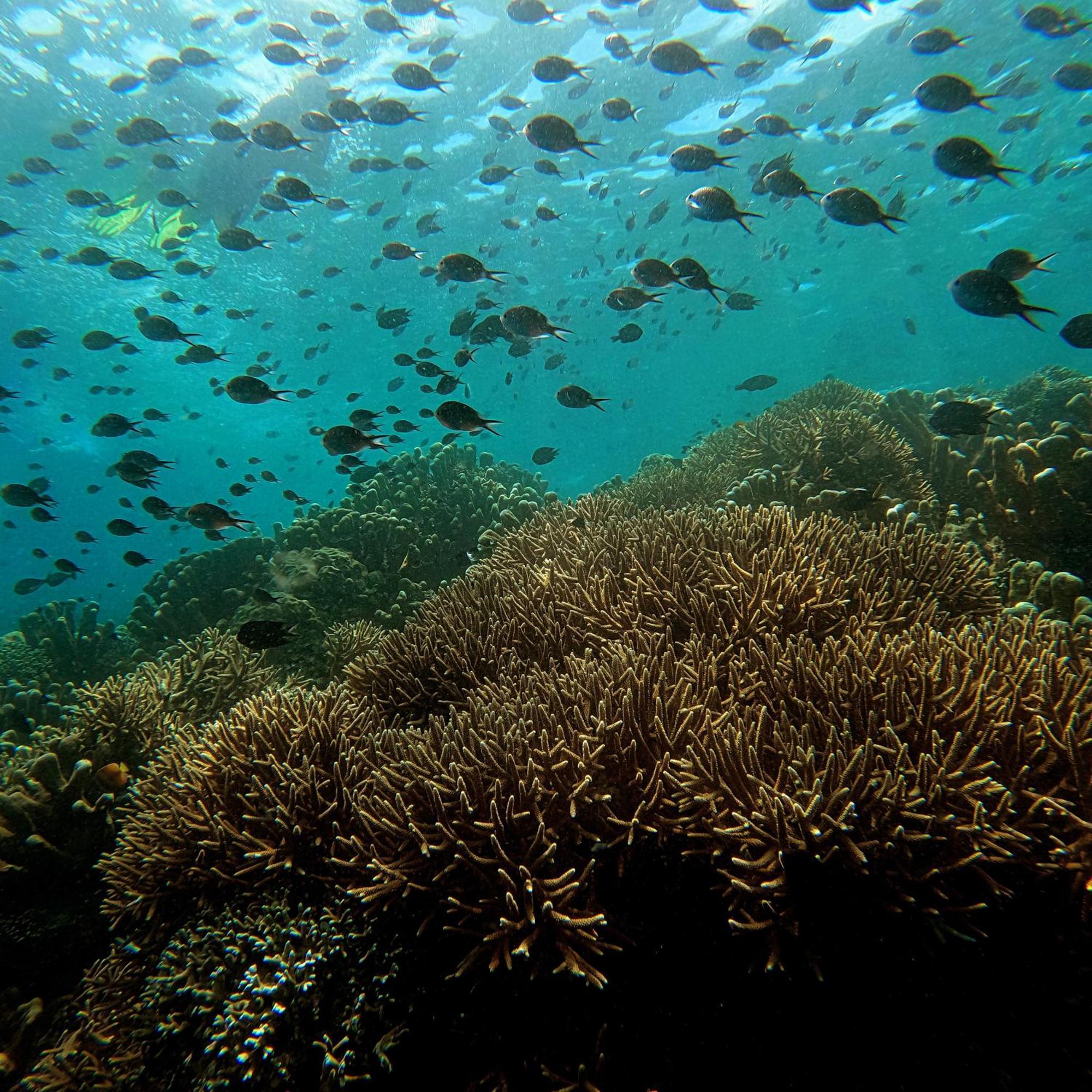 4 Sisters Divers Bunaken Buitenkant foto